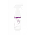 BACTICID desinfektsiooni pihusti 500ml